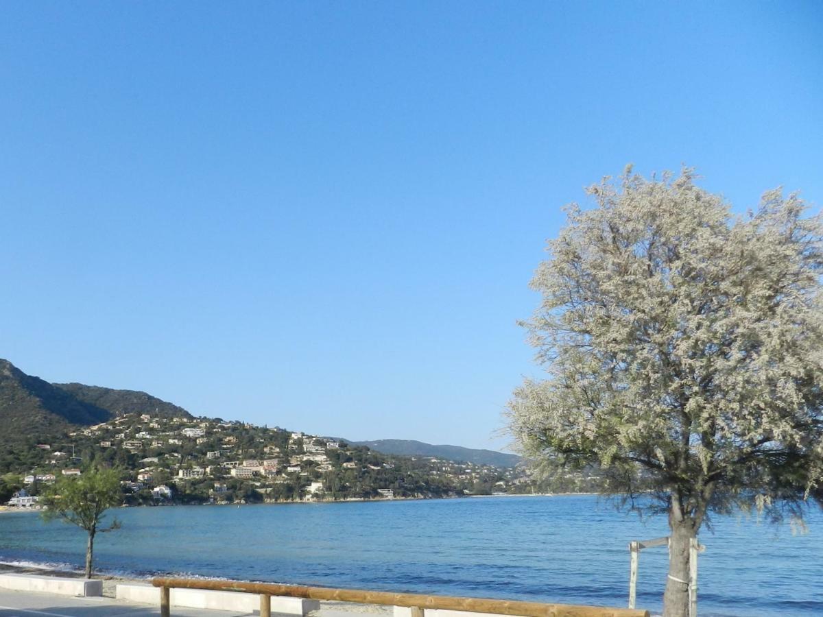 Appartement Les Pieds Dans L'Eau ! Le Lavandou Exterior foto